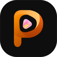 P站官网入口