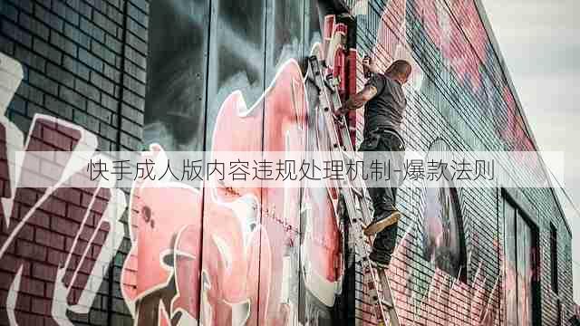快手成人版内容违规处理机制-爆款法则