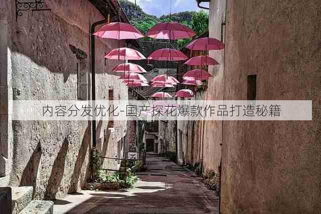 内容分发优化-国产探花爆款作品打造秘籍