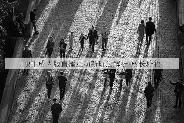 快手成人版直播互动新玩法解析-成长秘籍