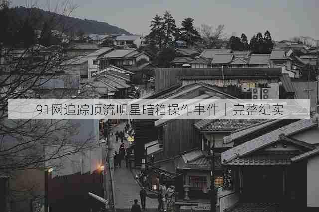 91网追踪顶流明星暗箱操作事件|完整纪实