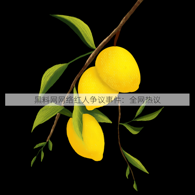 黑料网网络红人争议事件:全网热议