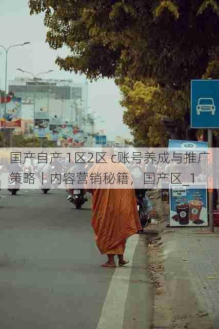 国产自产 1区2区 c账号养成与推广策略|内容营销秘籍,国产区_1
