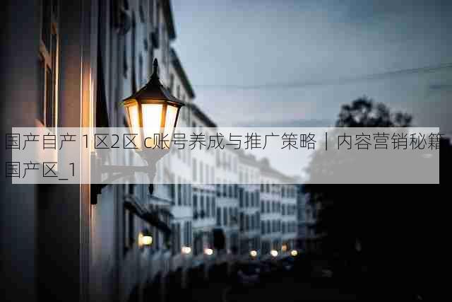 国产自产 1区2区 c账号养成与推广策略｜内容营销秘籍，国产区_1