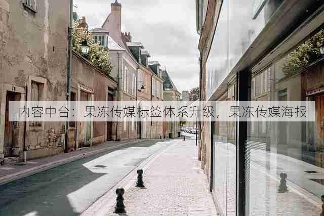 内容中台:果冻传媒标签体系升级,果冻传媒海报