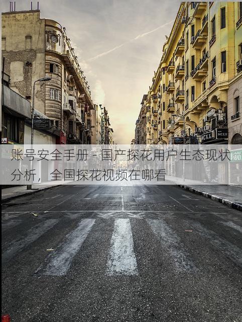 账号安全手册 - 国产探花用户生态现状分析，全国探花视频在哪看
