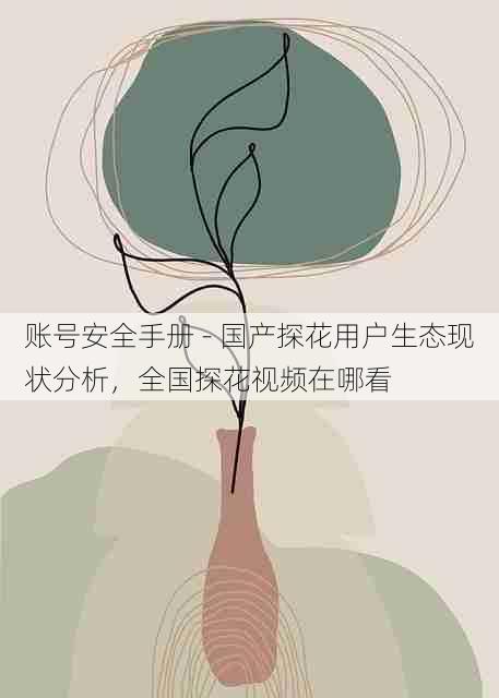 账号安全手册 - 国产探花用户生态现状分析，全国探花视频在哪看