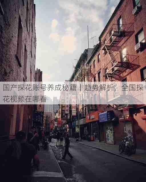 国产探花账号养成秘籍|趋势解析,全国探花视频在哪看