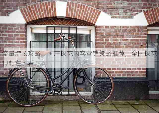 流量增长攻略｜国产探花内容营销策略推荐，全国探花视频在哪看