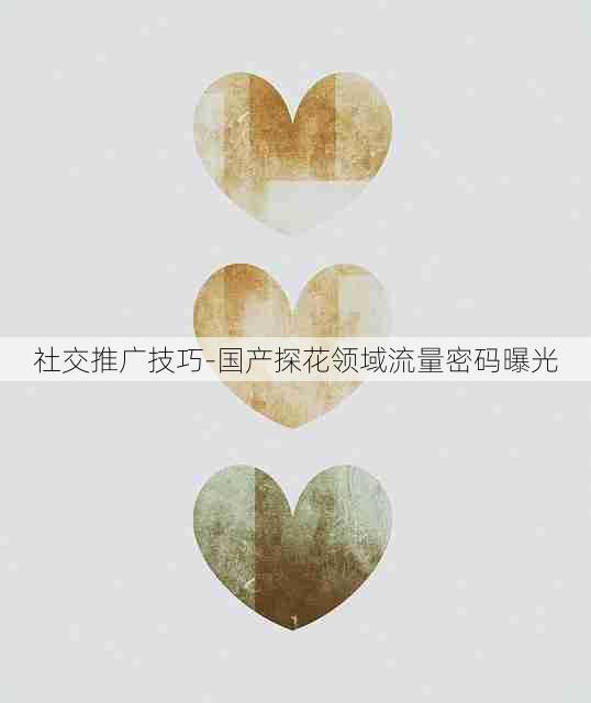 社交推广技巧-国产探花领域流量密码曝光