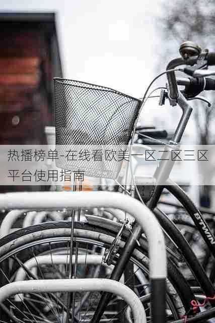 热播榜单-在线看欧美一区二区三区平台使用指南