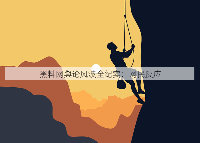 黑料网舆论风波全纪实：网民反应