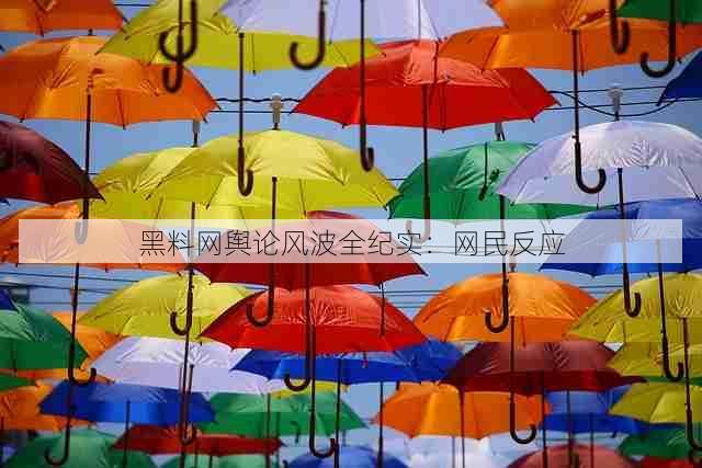黑料网舆论风波全纪实：网民反应