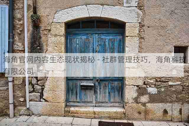 海角官网内容生态现状揭秘 - 社群管理技巧，海角科技有限公司
