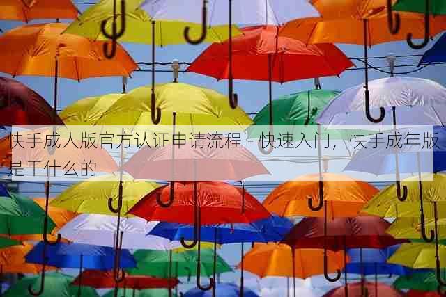 快手成人版官方认证申请流程 - 快速入门,快手成年版是干什么的