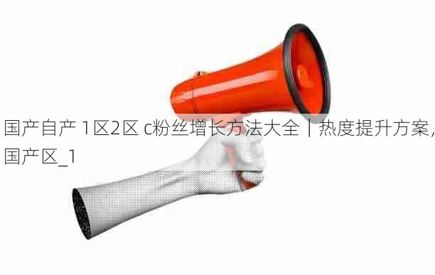 国产自产 1区2区 c粉丝增长方法大全｜热度提升方案，国产区_1