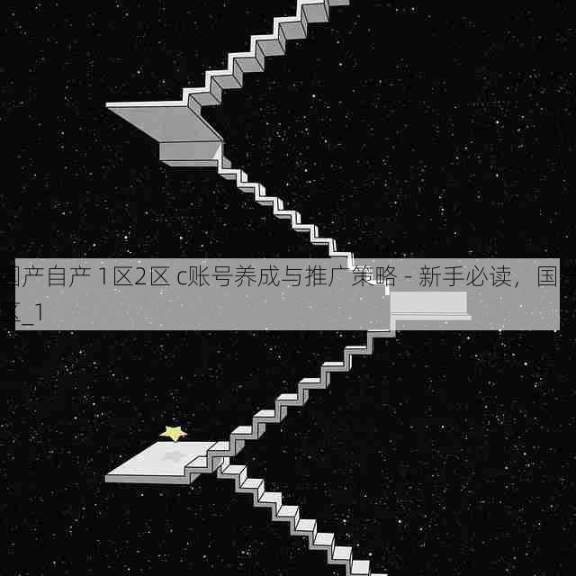 国产自产 1区2区 c账号养成与推广策略 - 新手必读,国产区_1