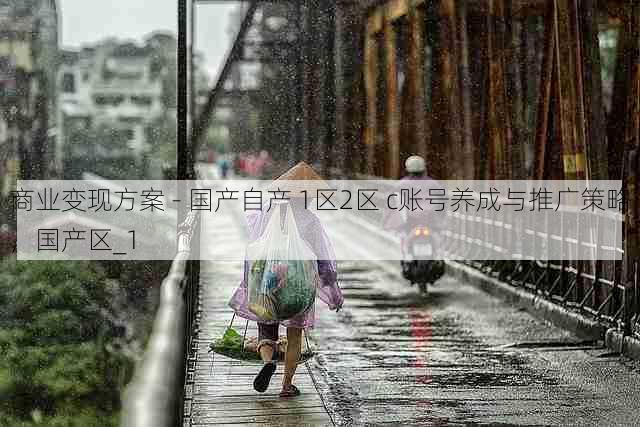 商业变现方案 - 国产自产 1区2区 c账号养成与推广策略,国产区_1