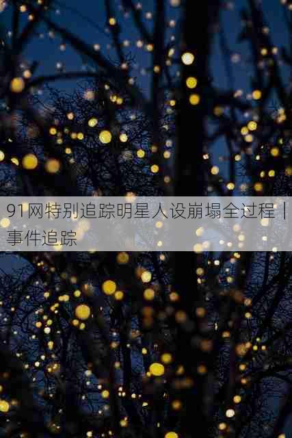91网特别追踪明星人设崩塌全过程|事件追踪