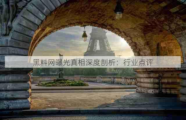黑料网曝光真相深度剖析：行业点评