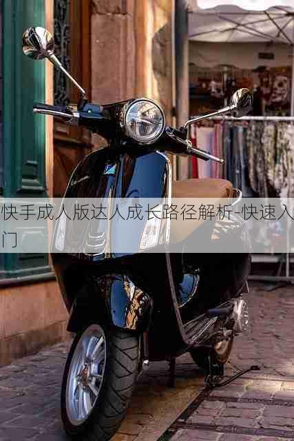 快手成人版达人成长路径解析-快速入门