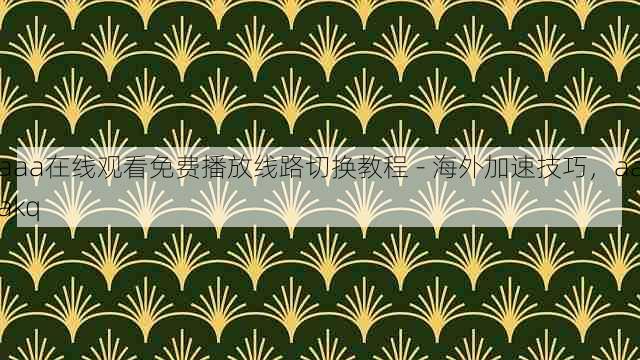 aaa在线观看免费播放线路切换教程 - 海外加速技巧,aaakq
