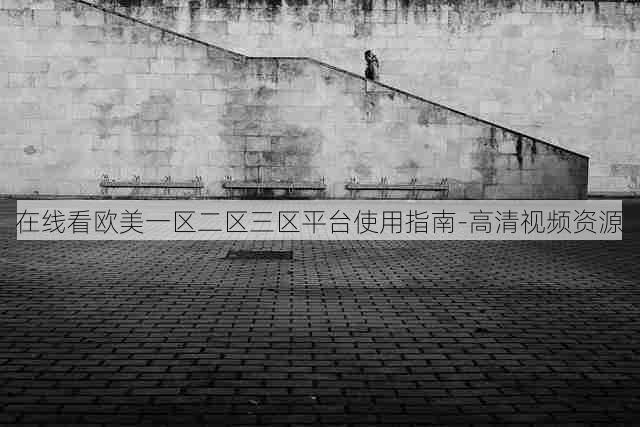 在线看欧美一区二区三区平台使用指南-高清视频资源