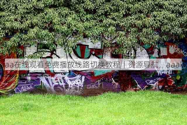 aaa在线观看免费播放线路切换教程｜资源导航，aaakx
