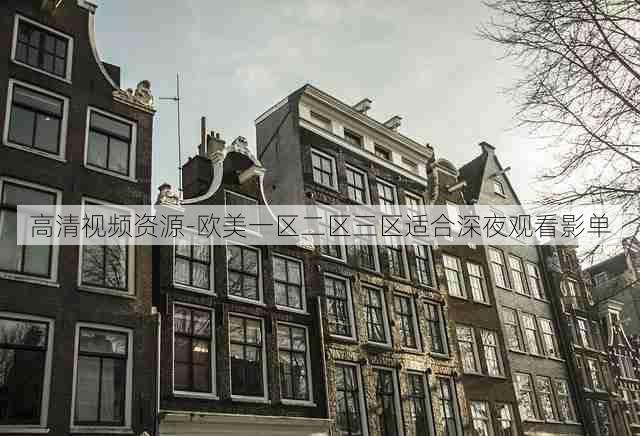 高清视频资源-欧美一区二区三区适合深夜观看影单