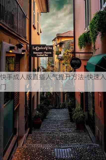 快手成人版直播人气提升方法-快速入门