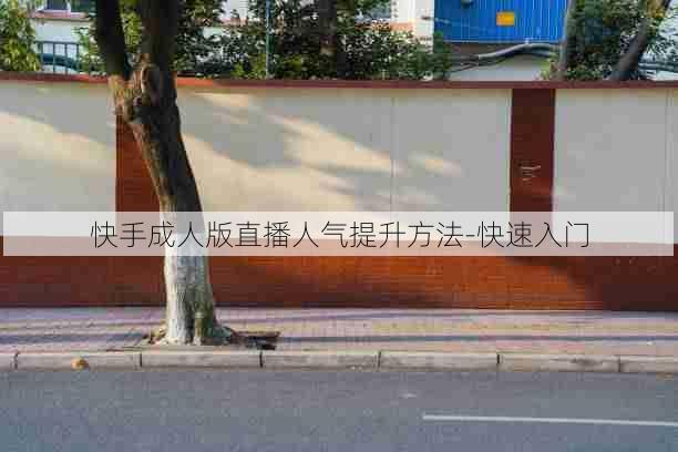 快手成人版直播人气提升方法-快速入门