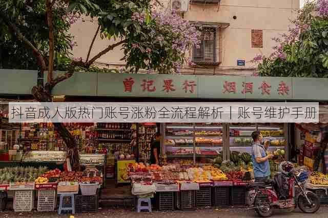 抖音成人版热门账号涨粉全流程解析|账号维护手册