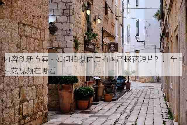 内容创新方案 - 如何拍摄优质的国产探花短片？，全国探花视频在哪看