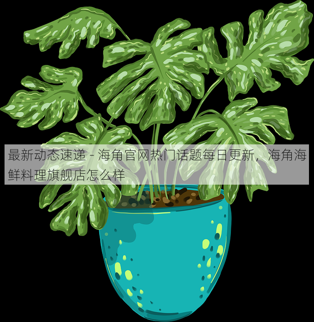 最新动态速递 - 海角官网热门话题每日更新，海角海鲜料理旗舰店怎么样