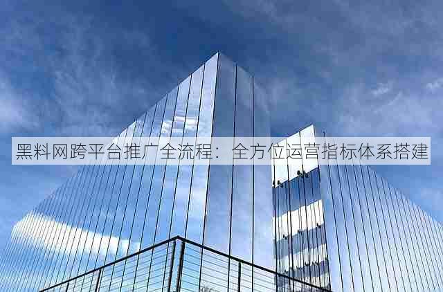 黑料网跨平台推广全流程：全方位运营指标体系搭建