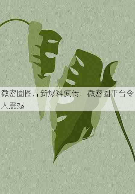 微密圈图片新爆料疯传：微密圈平台令人震撼