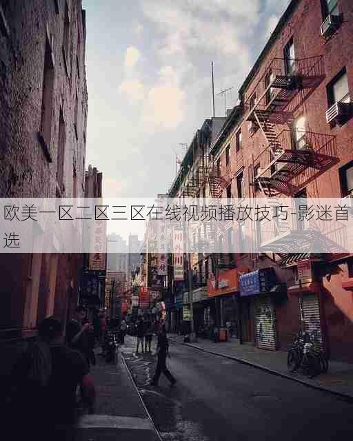 欧美一区二区三区在线视频播放技巧-影迷首选
