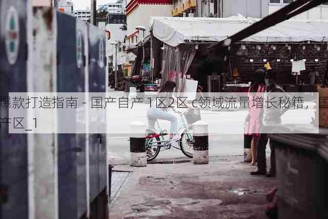 爆款打造指南 - 国产自产 1区2区 c领域流量增长秘籍,国产区_1