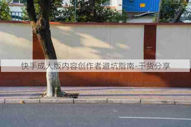 快手成人版内容创作者避坑指南-干货分享