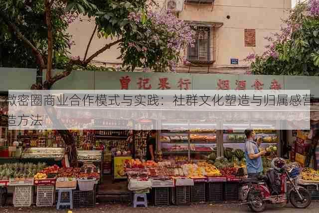 微密圈商业合作模式与实践:社群文化塑造与归属感营造方法