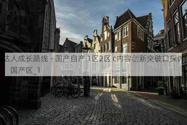 达人成长路线 - 国产自产 1区2区 c内容创新突破口探讨,国产区_1