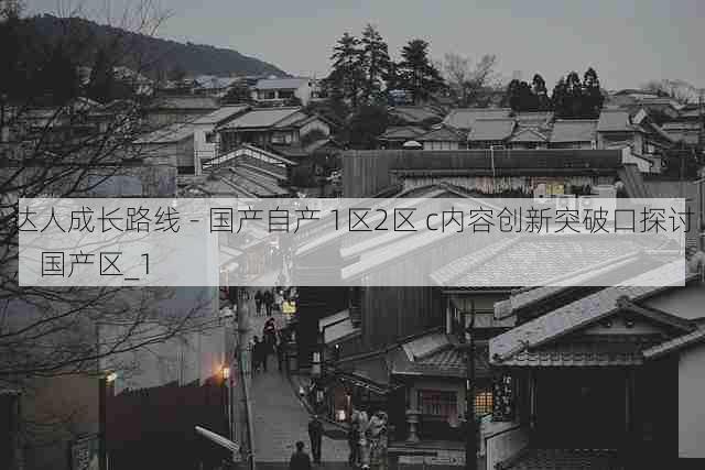 达人成长路线 - 国产自产 1区2区 c内容创新突破口探讨,国产区_1