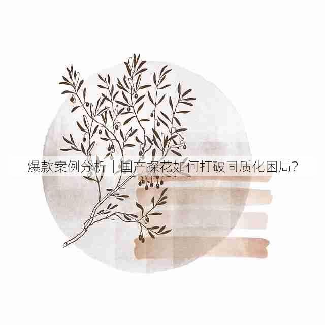 爆款案例分析｜国产探花如何打破同质化困局？