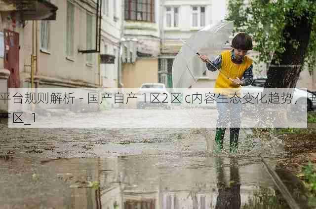 平台规则解析 - 国产自产 1区2区 c内容生态变化趋势,国产区_1