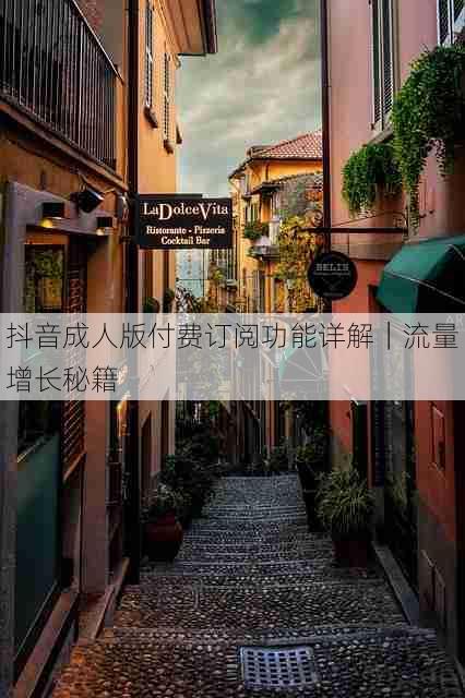 抖音成人版付费订阅功能详解|流量增长秘籍