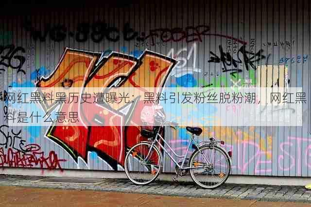 网红黑料黑历史遭曝光:黑料引发粉丝脱粉潮,网红黑料是什么意思