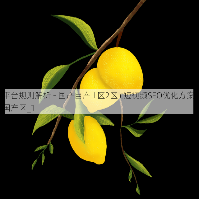 平台规则解析 - 国产自产 1区2区 c短视频SEO优化方案,国产区_1