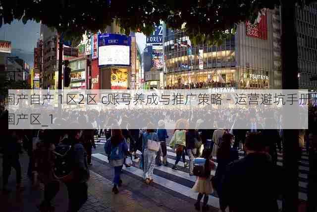 国产自产 1区2区 c账号养成与推广策略 - 运营避坑手册,国产区_1