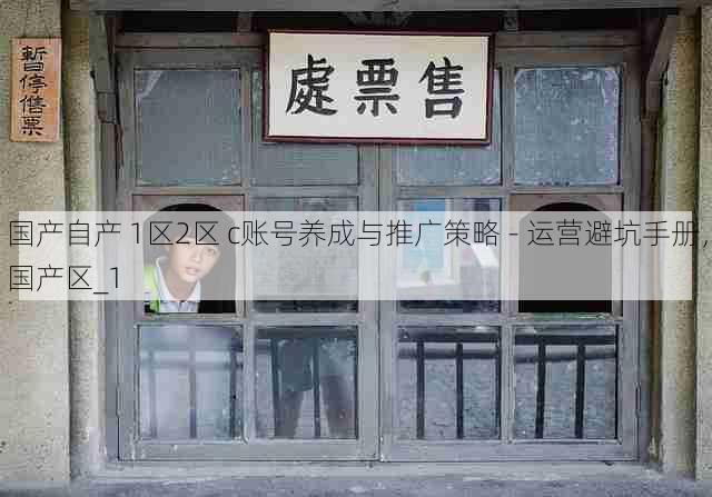 国产自产 1区2区 c账号养成与推广策略 - 运营避坑手册,国产区_1
