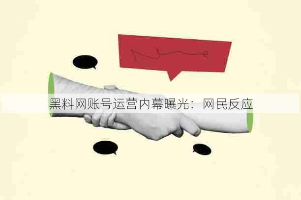 黑料网账号运营内幕曝光:网民反应